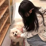 仙灵幻想手机版下载
